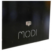 08-MODI.jpg