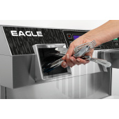 Eagle-04-MAN3250-072dpi.jpg