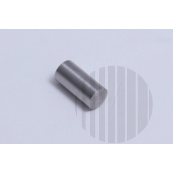 REX technologie Kolik DIN7 8m6x16 A2     8ST02001,A1