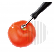 376.jpg