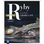 Ryby z našich rybníků a řek