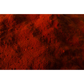 9510320-Paprika-sladka-asta-160.JPG