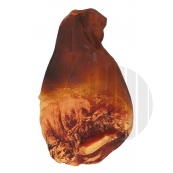 Atrapa pražská šunka