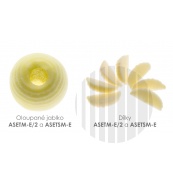 asetm-e2.jpg