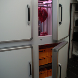DSC-0092.JPG