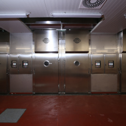 IMG-8368.JPG