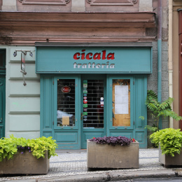 IMG-8682.JPG