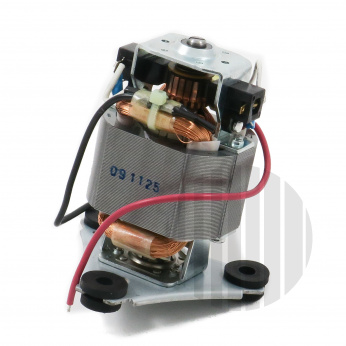 Motor WSG30    029756