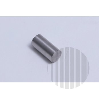 REX technologie Kolik DIN7 8m6x16 A2     8ST02001,A1