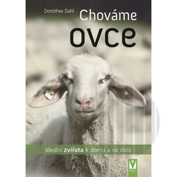 Chováme ovce