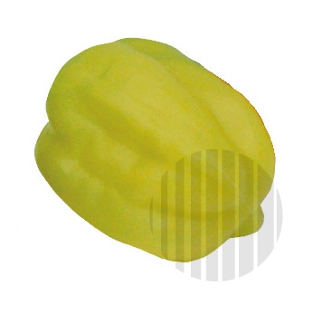 Atrapa paprika žlutá