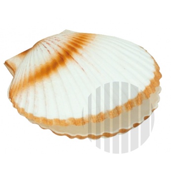 Atrapa mušle