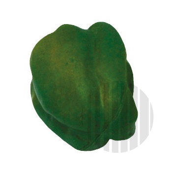 Atrapa paprika zelená